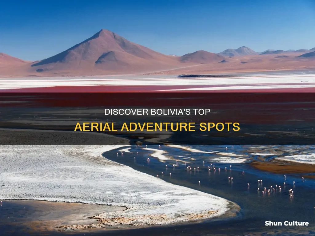 where to fly in bolivia