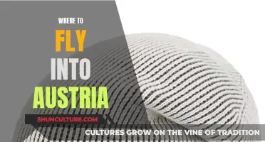 Exploring Austria: Best Airports for Scenic Flights