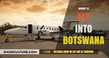 Best Airports for Exploring Botswana: Your Ultimate Flight Guide