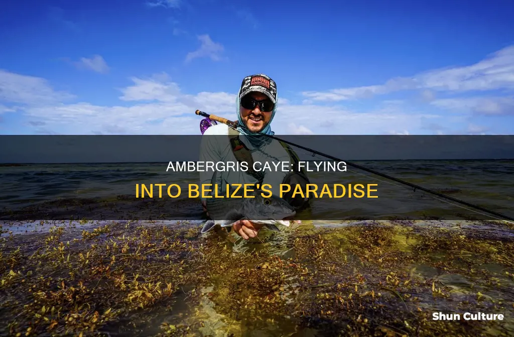 where to fly into for ambergris caye belize