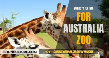 Australia Zoo: Best Airports for a Quick Trip