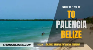 Fly to Paradise: Belize's Palencia