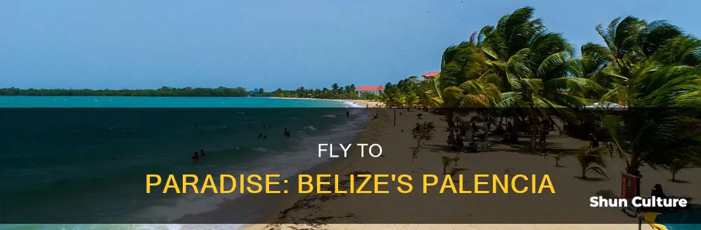 where to fly to go to palencia belize