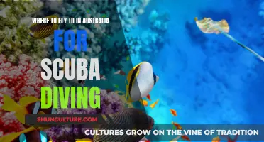 Best Australian Diving Spots for Your Next Vacation
