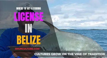 Belize Fishing Licenses: Where to Get Them