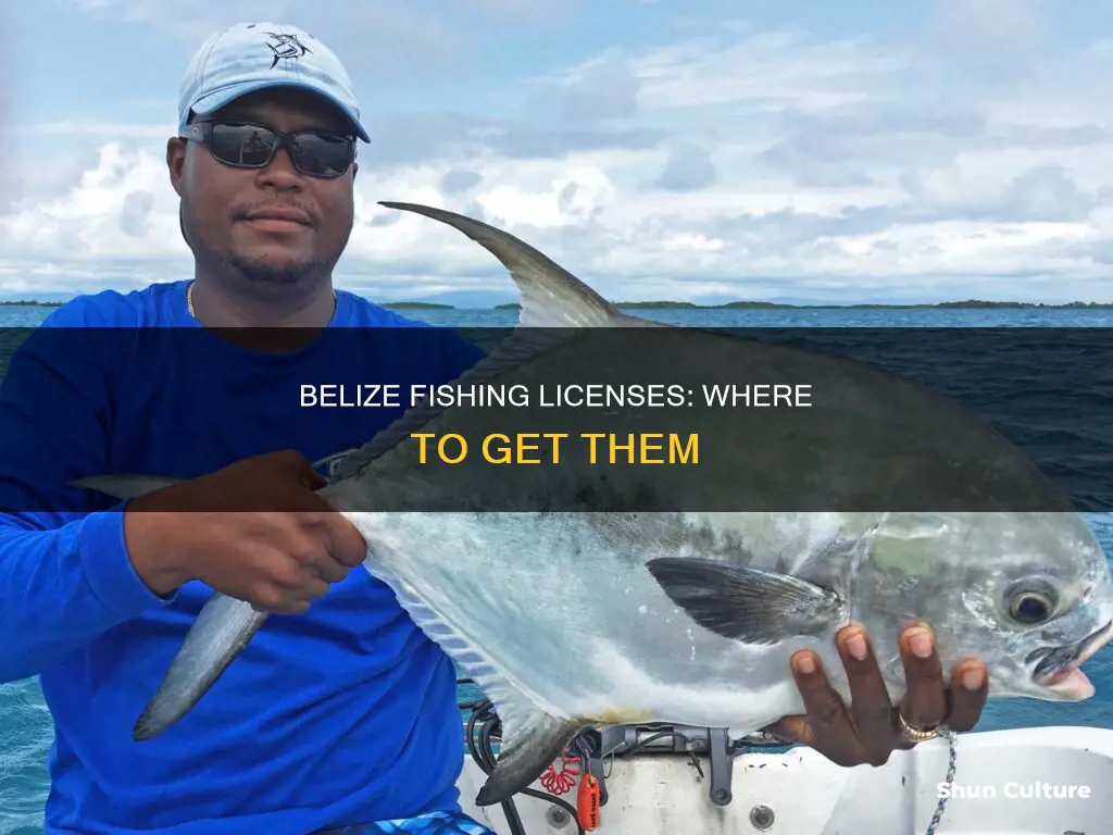 where to get a fishing license in belize