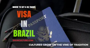 Your Guide to Obtaining a US Travel Visa in Brazil