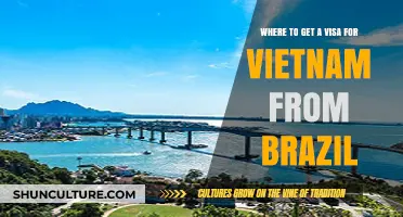 How to Obtain a Vietnam Visa for Brazilian Citizens: A Guide