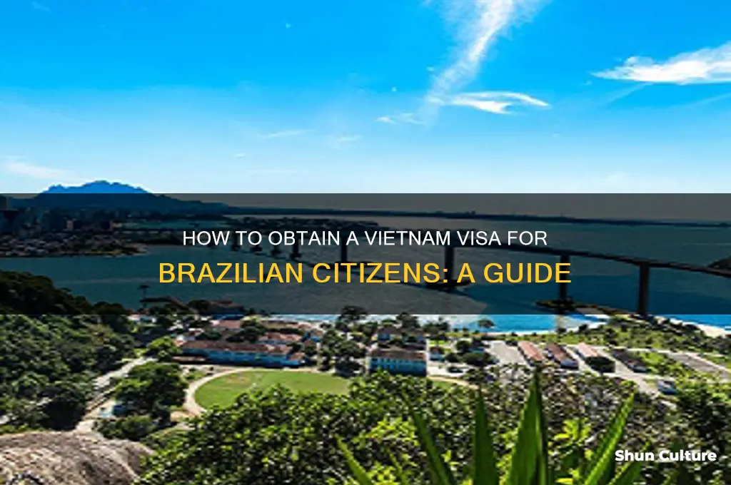 where to get a visa for vietnam from brazil