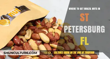 Discover the Best Spots for Brazil Nuts in St. Petersburg, FL