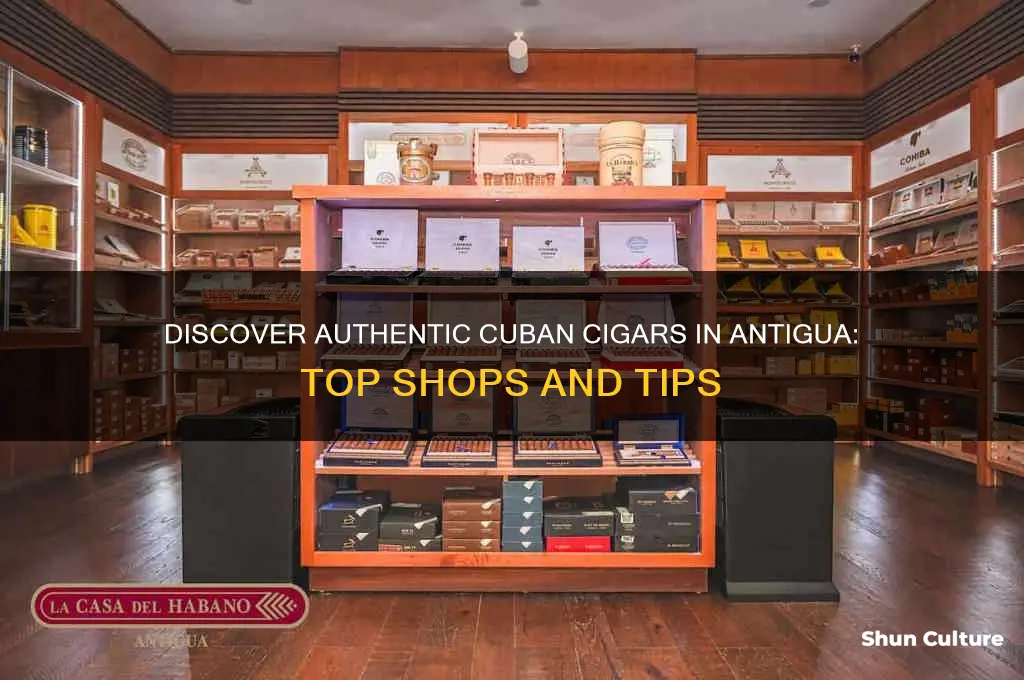 where to get cuban cigars in antigua