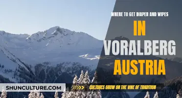 Diaper and Wipes: Your Guide to Voralberg, Austria's Best Sources