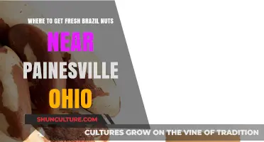 Discover Fresh Brazil Nuts Near Painesville, Ohio: Top Local Sources