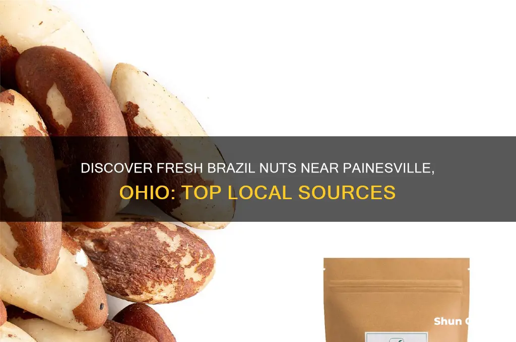 where to get fresh brazil nuts near painesville ohio