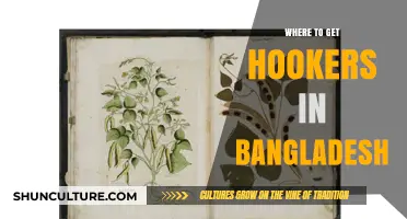 Exploring Bangladesh's Red-Light Districts: A Guide to Adult Entertainment