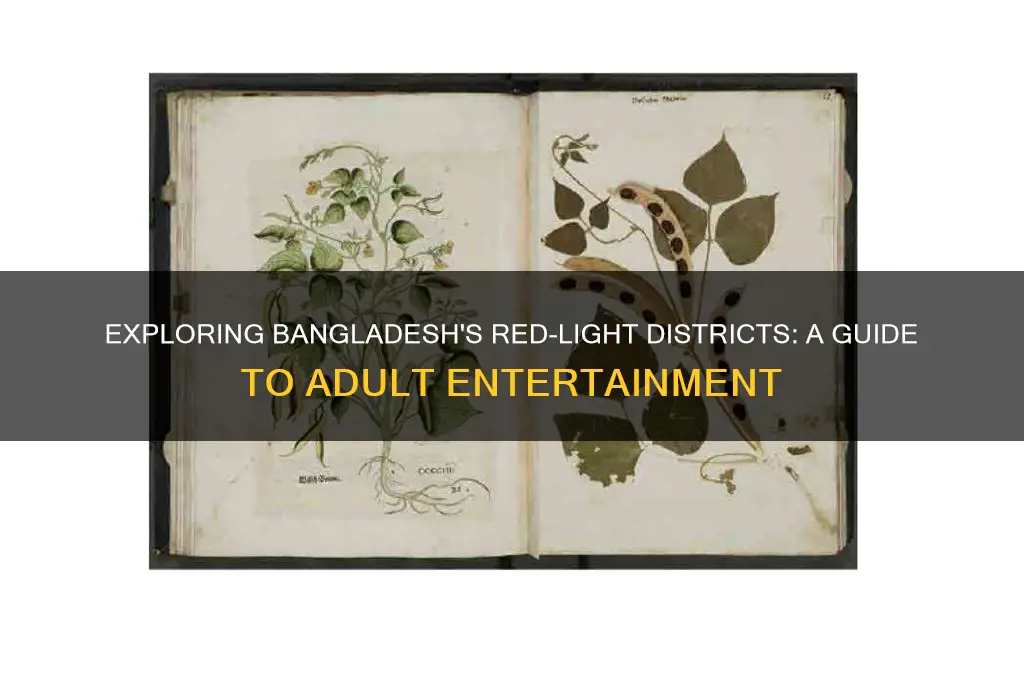 where to get hookers in bangladesh