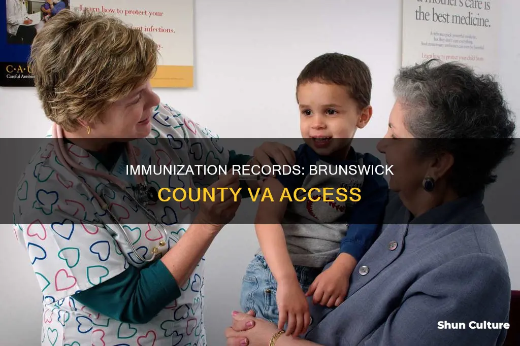 where to get immunization records brunswick county va