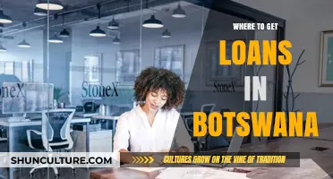 Best Loan Options in Botswana: A Comprehensive Guide to Accessing Funds