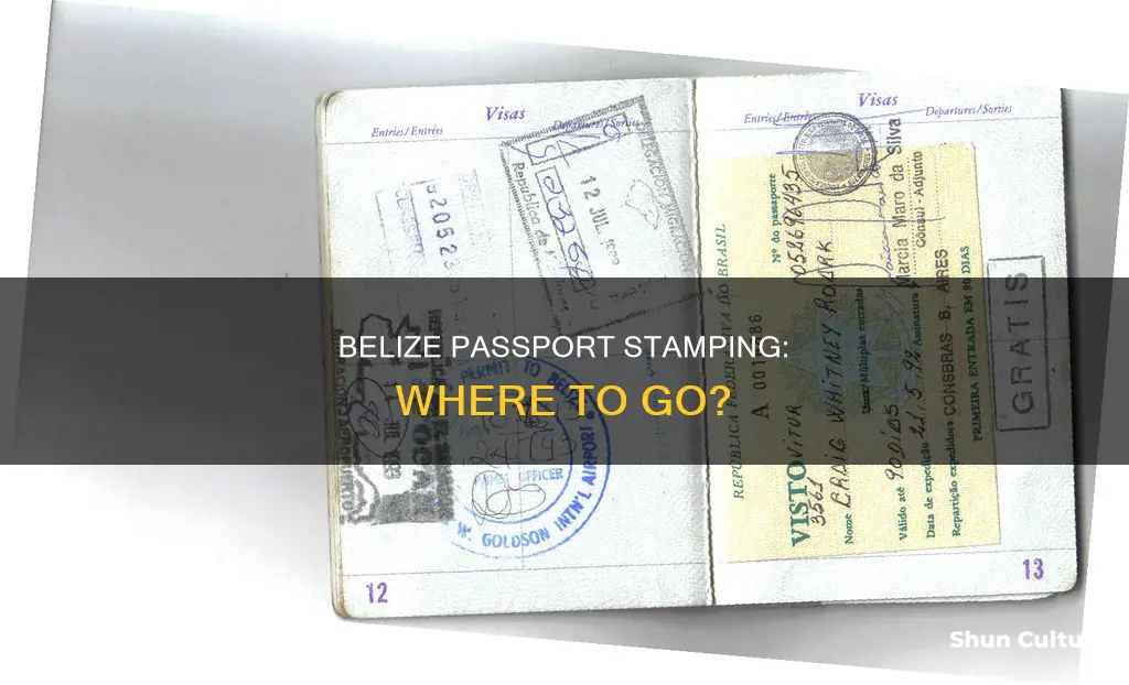 where to get passport stamped in belize