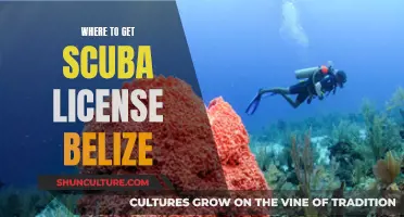 Belize Scuba License: Where to Get Certified