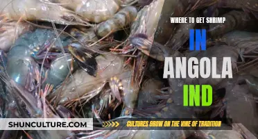 Fresh Shrimp in Angola: Local Delicacies and Where to Find Them