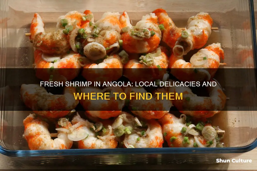 where to get shrimp in angola ind