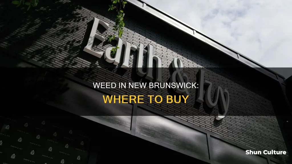 where to get weed in new brunswick nj