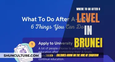 Exploring Post-O Level Education and Opportunities in Brunei