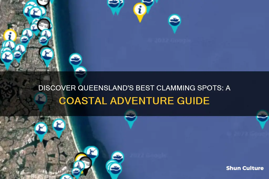 where to go clamming in queensland australia