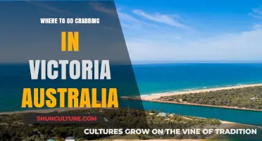 Top Crabbing Spots in Victoria, Australia: A Beginner's Guide