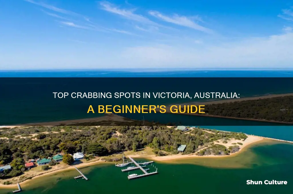 where to go crabbing in victoria australia