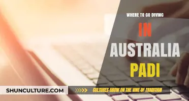 Top Australian Dive Sites for PADI Enthusiasts to Explore
