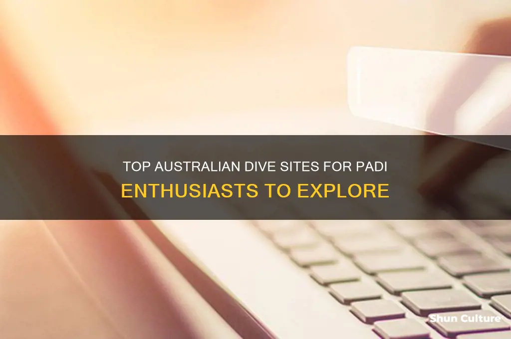 where to go diving in australia padi