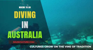 Discover Australia's Best Dive Sites: Coral Reefs to Shipwrecks