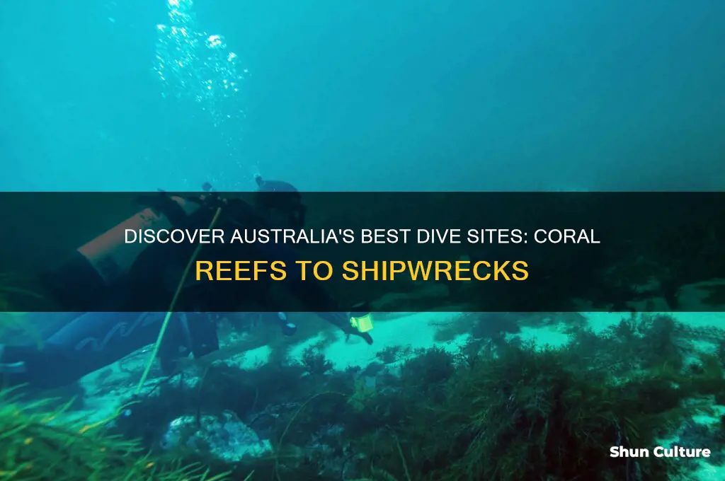 where to go diving in australia