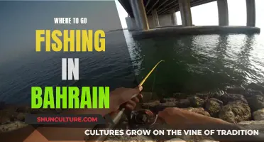 Fishing in Bahrain: Best Spots to Cast Your Line