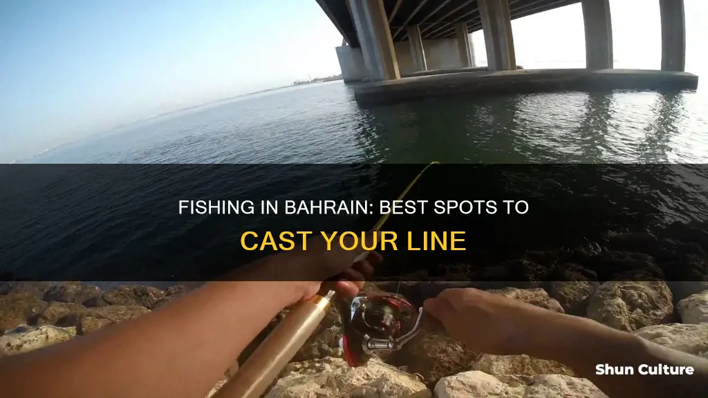 where to go fishing in bahrain