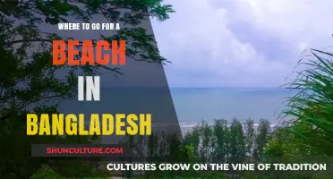 Discover Bangladesh's Best Beaches: A Tropical Escape Guide
