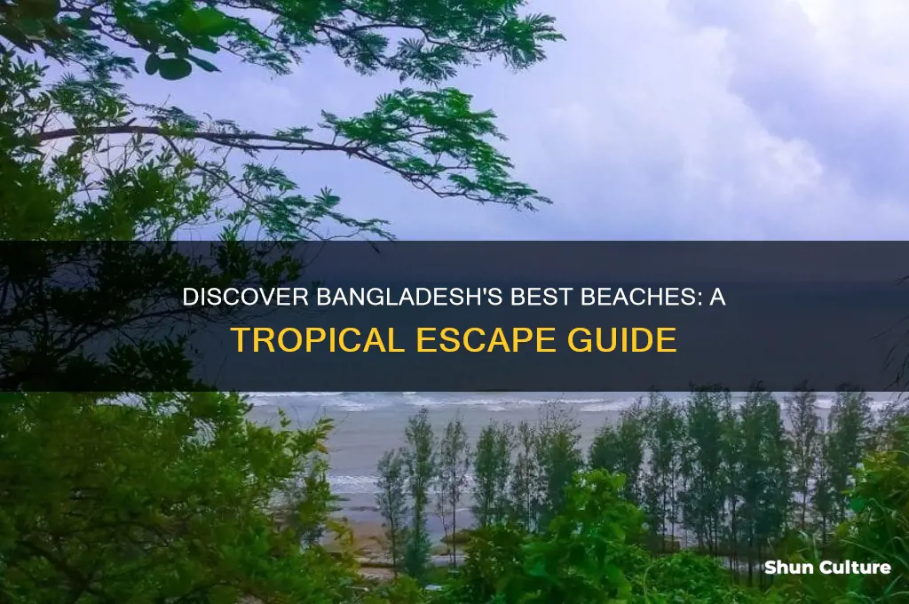 where to go for a beach in bangladesh