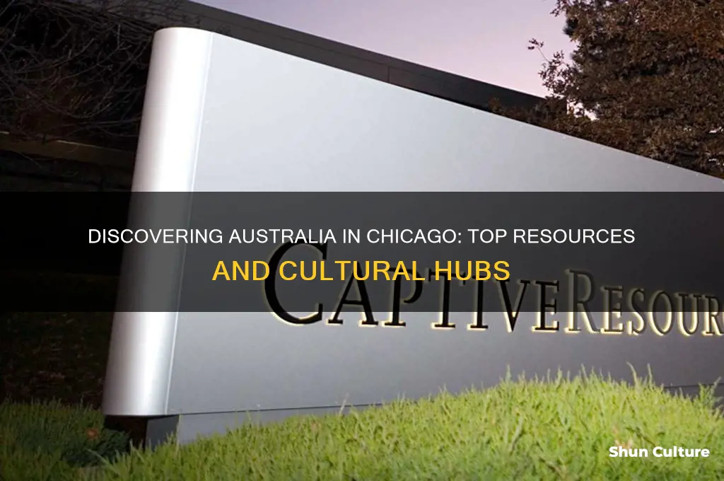 where to go for information on australia in Chicago