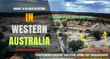 Discover Western Australia's Best Gold Detecting Hotspots and Hidden Treasures