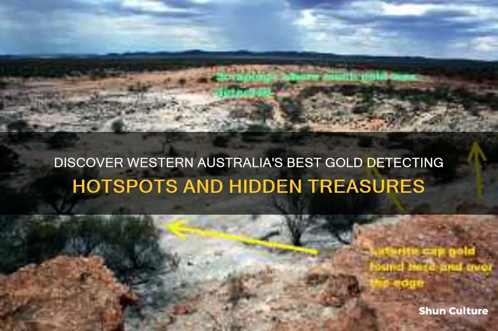 where to go gold detecting in western australia