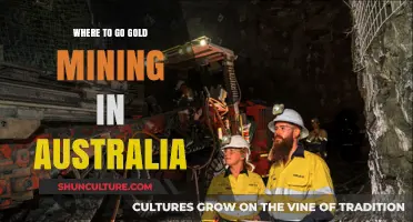 Discover Australia's Best Gold Mining Hotspots for Prospectors