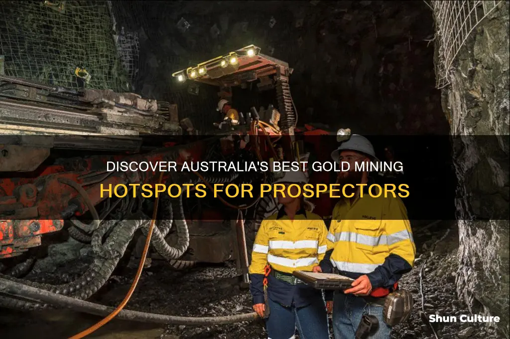 where to go gold mining in australia