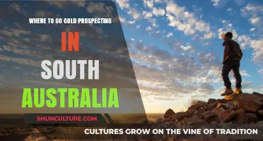 Discover South Australia's Best Gold Prospecting Hotspots and Hidden Gems