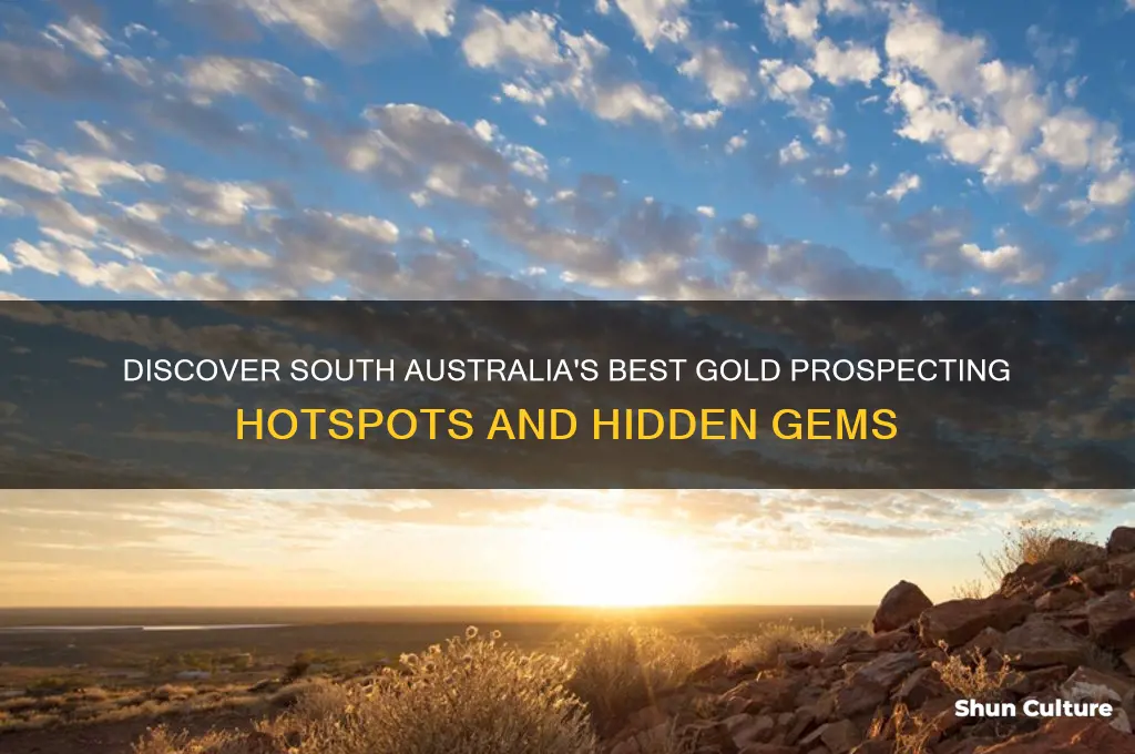 where to go gold prospecting in south australia
