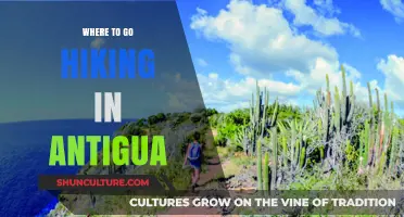 Discover Antigua's Best Hiking Trails: Scenic Adventures Await You