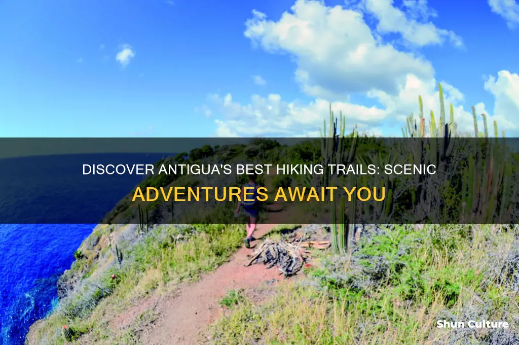 where to go hiking in antigua