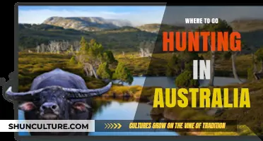 Top Australian Hunting Destinations: Best Spots for an Unforgettable Adventure