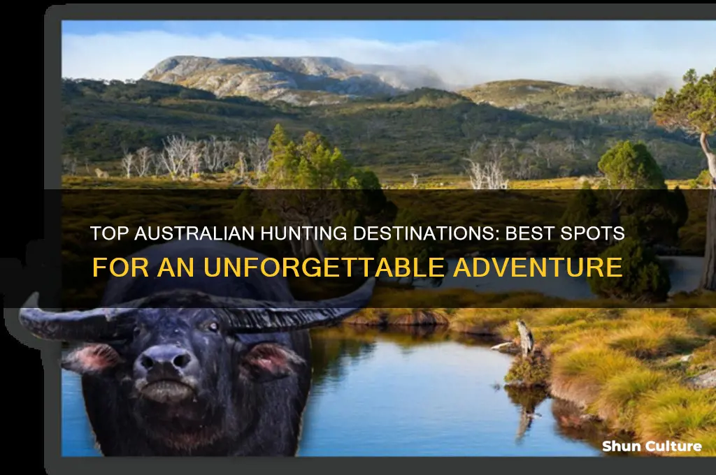 where to go hunting in australia